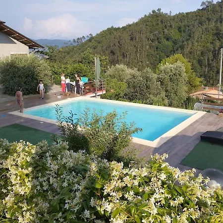 Apartment Degli Ulivi