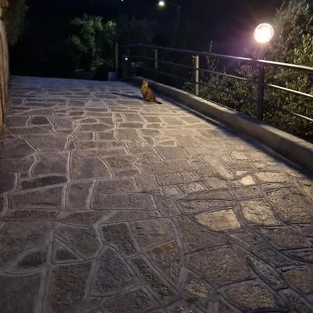 Degli Ulivi Apartment *