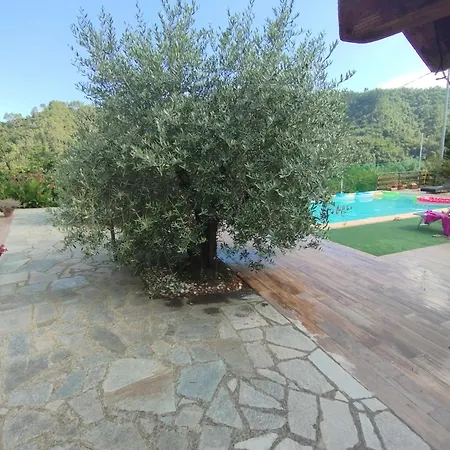 Apartment Degli Ulivi *