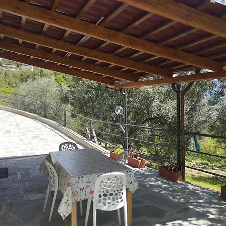 Degli Ulivi