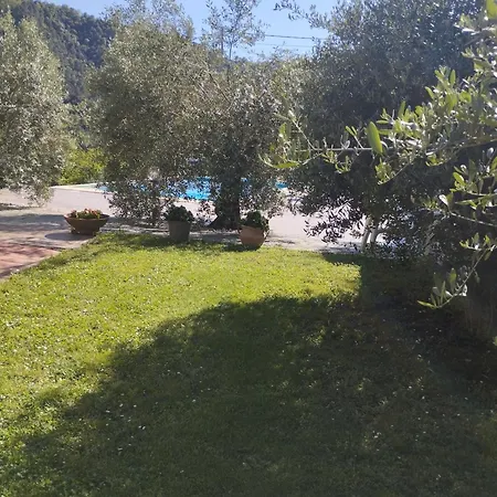 Apartment Degli Ulivi
